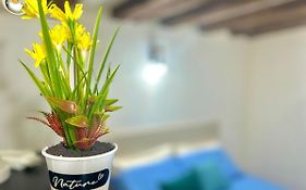 Residence Zar - 2